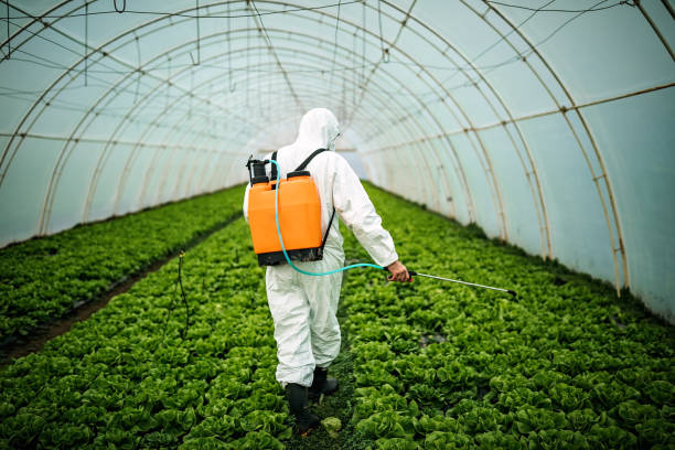 Best Affordable Pest Control Services  in Shenandoah, PA