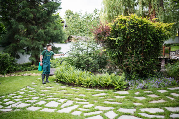 Best Bird Control  in Shenandoah, PA