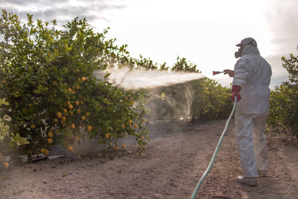 Best Residential Pest Control  in Shenandoah, PA